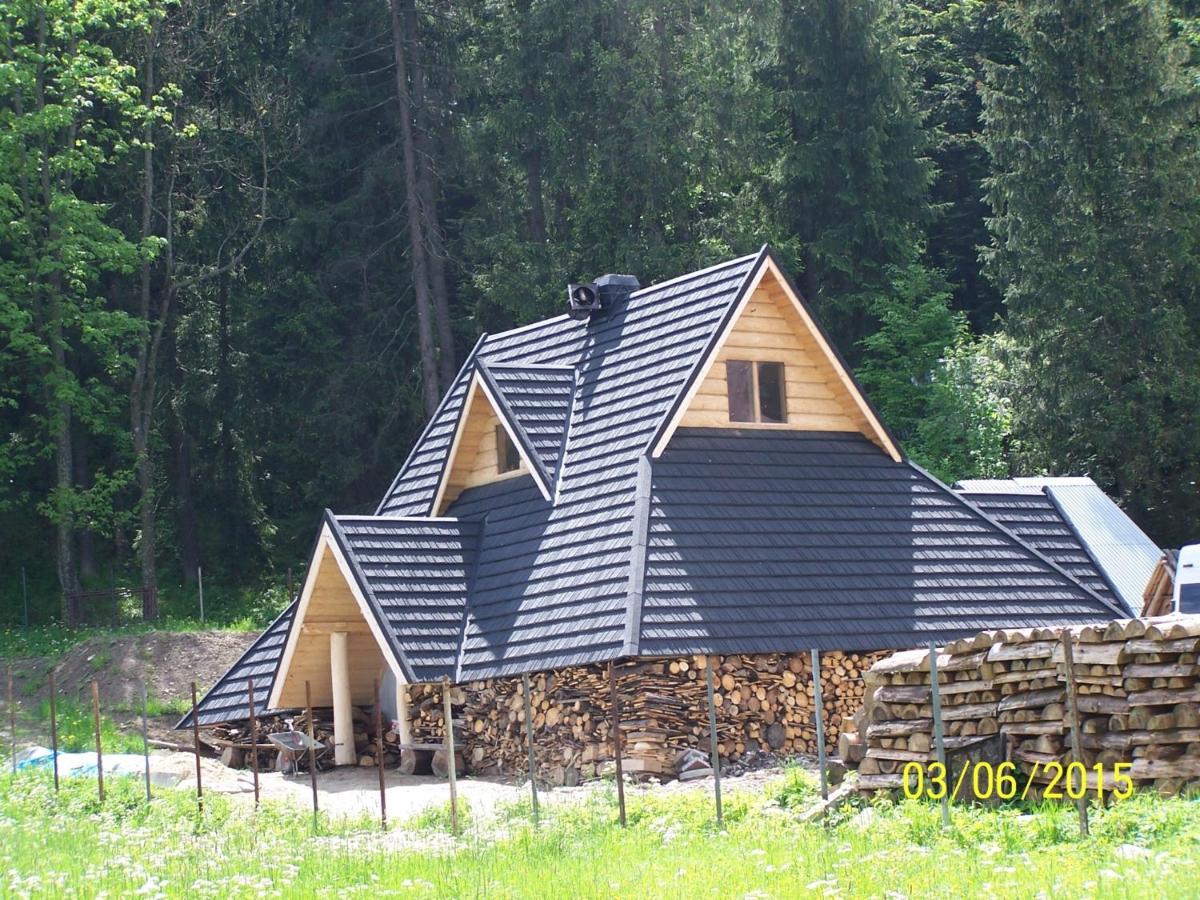 Willa Sport Zakopane Extérieur photo