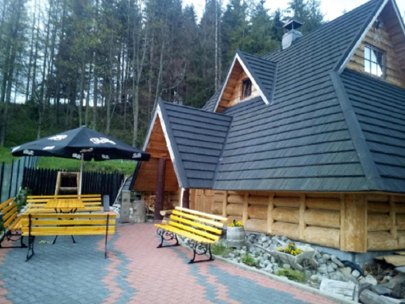 Willa Sport Zakopane Extérieur photo